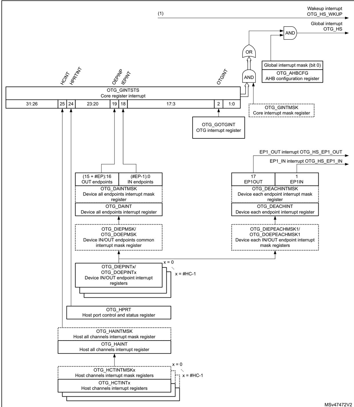 Interrupt hierarchy diagram for OTG_HS showing the flow from various interrupt sources through registers and logic gates to the global interrupt output.