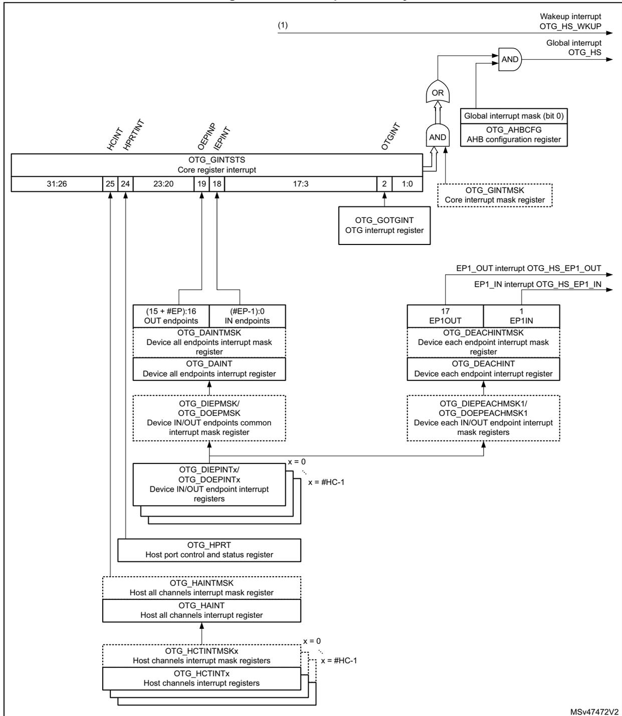Interrupt hierarchy diagram for OTG_HS showing the flow from various interrupt sources through registers and logic gates to the global interrupt output.