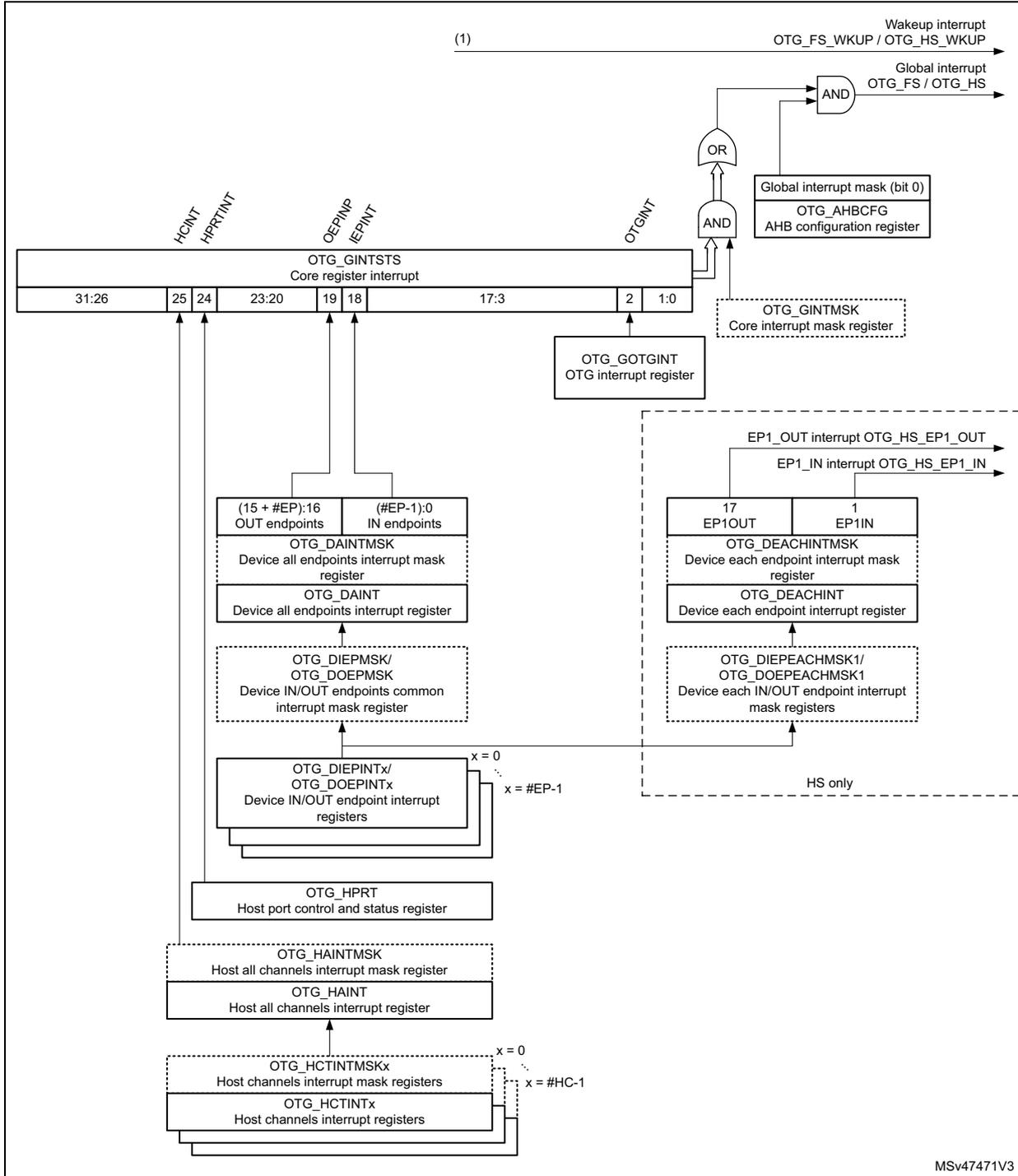 Interrupt hierarchy diagram for USB OTG. It shows the flow of interrupts from various sources (Wakeup, Global, OTG_GINTSTS, OTG_HPRT, OTG_DAININT, OTG_HAITINT) through a series of AND/OR gates to the final interrupt lines. The OTG_GINTSTS register is shown with bit fields for Host (HINT, HPRTINT), Device (DEPINT, IEPINT), and OTGINT. The diagram also details the hierarchy for device and host endpoints, including mask and interrupt registers. A note indicates that the EP1 interrupt section is High-Speed (HS) only.