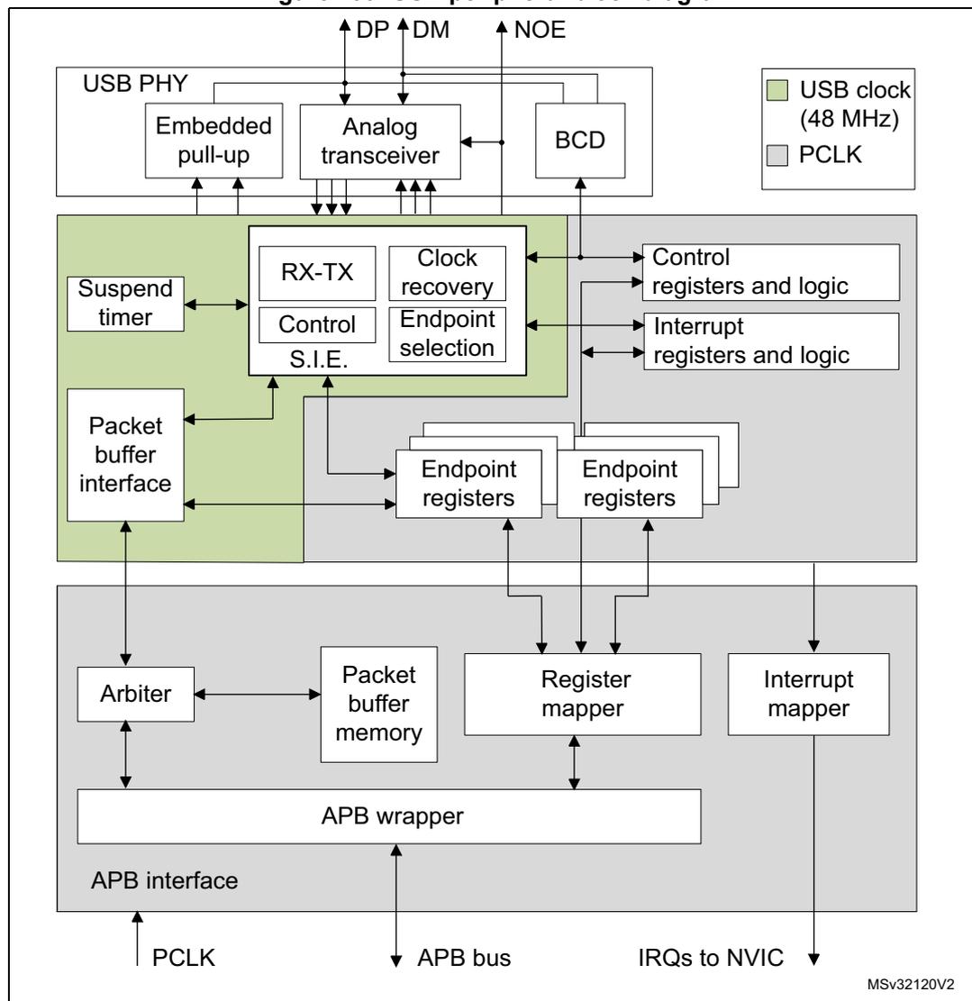 Figure 499. USB peripheral block diagram. The diagram shows the internal architecture of the USB peripheral. At the top, the USB PHY block contains an Embedded pull-up, Analog transceiver, and BCD. The Analog transceiver connects to external pins DP, DM, and NOE. Below the PHY is a green-shaded functional block containing a Suspend timer, Packet buffer interface, RX-TX, Control S.I.E., Clock recovery, and Endpoint selection. This block connects to Control registers and logic, Interrupt registers and logic, and multiple Endpoint registers. Below this is a grey-shaded APB interface block containing an Arbiter, Packet buffer memory, Register mapper, and Interrupt mapper. These components connect to an APB wrapper, which in turn connects to the APB bus. The APB wrapper also connects to the Packet buffer interface and the Register mapper. The Register mapper connects to the Endpoint registers. The Interrupt mapper connects to IRQs to NVIC. The entire USB peripheral is powered by a 48 MHz USB clock and a PCLK. A legend indicates that green-shaded areas represent the USB clock (48 MHz) and grey-shaded areas represent the PCLK.