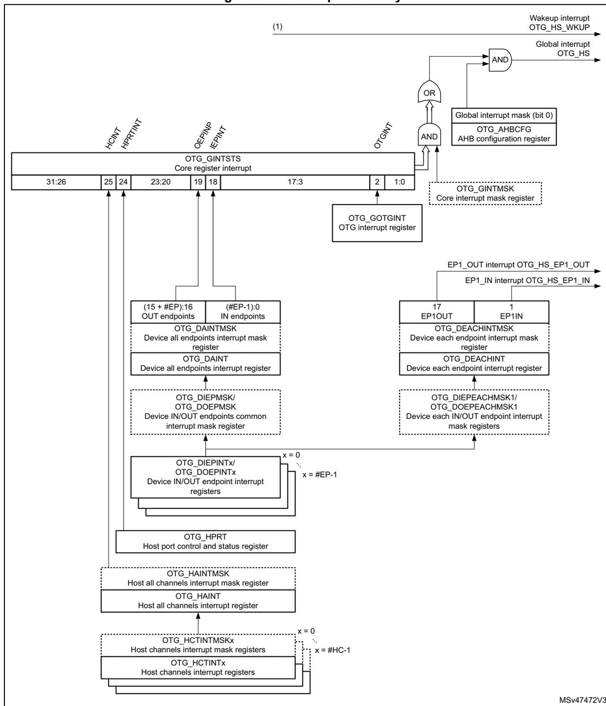 Interrupt hierarchy diagram for OTG_HS showing the flow from various interrupt sources through registers and logic gates to the global interrupt line.