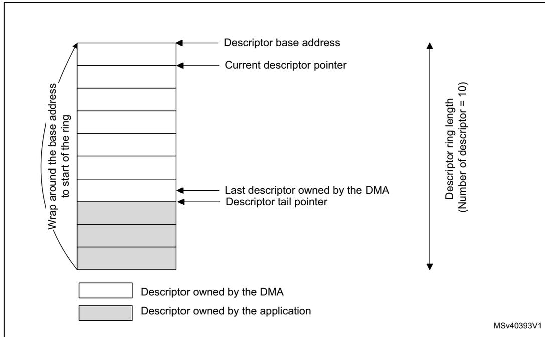 Diagram of a DMA descriptor ring showing 10 descriptors. The first 7 are owned by the DMA (white), and the last 3 are owned by the application (grey). The ring wraps around from the last descriptor back to the first. The 'Descriptor base address' points to the first descriptor, 'Current descriptor pointer' points to the second, and 'Last descriptor owned by the DMA / Descriptor tail pointer' points to the seventh. A vertical double-headed arrow on the right indicates the 'Descriptor ring length (Number of descriptor = 10)'.