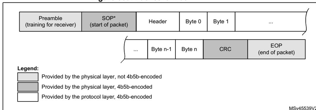 Figure 559. Packet format diagram showing the structure of a packet with fields: Preamble, SOP*, Header, Byte 0, Byte 1, ..., Byte n-1, Byte n, CRC, and EOP. A legend indicates that Preamble and SOP* are provided by the physical layer (not 4b5b-encoded), while Header, Bytes, CRC, and EOP are provided by the protocol layer (4b5b-encoded).