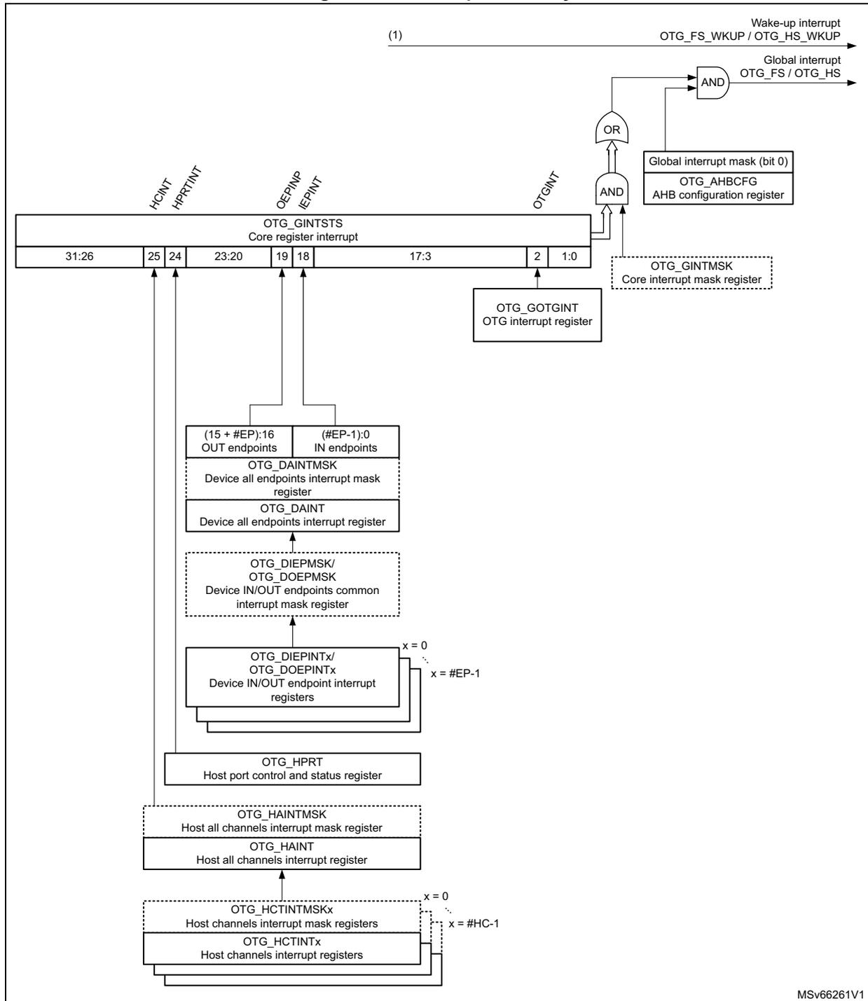 Interrupt hierarchy diagram for OTG_HS showing the flow from various interrupt sources through registers and logic gates to the final interrupt signals.