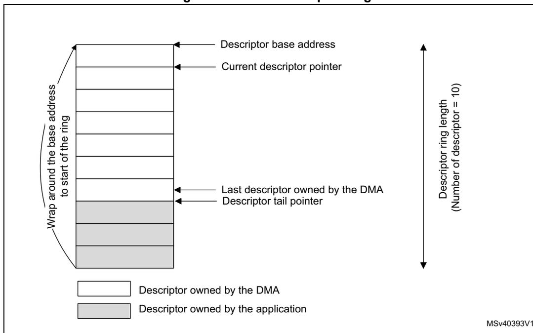 Diagram of a DMA descriptor ring showing 10 descriptors. The first 7 are owned by the DMA (white), and the last 3 are owned by the application (grey). The 'Descriptor base address' points to the first descriptor, and the 'Current descriptor pointer' points to the second. The 'Last descriptor owned by the DMA' and 'Descriptor tail pointer' both point to the seventh descriptor. A curved arrow on the left indicates a 'Wrap around the base address to start of the ring' from the last descriptor back to the first. A vertical double-headed arrow on the right indicates the 'Descriptor ring length (Number of descriptor = 10)'. A legend at the bottom shows a white box for 'Descriptor owned by the DMA' and a grey box for 'Descriptor owned by the application'. The code MSv40393V1 is in the bottom right corner.