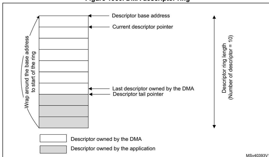 Diagram of a DMA descriptor ring showing 10 descriptors. The first 7 are owned by the DMA (white), and the last 3 are owned by the application (gray). The 'Descriptor base address' points to the first descriptor. The 'Current descriptor pointer' points to the second descriptor. The 'Last descriptor owned by the DMA' and 'Descriptor tail pointer' both point to the seventh descriptor. A curved arrow on the left indicates 'Wrap around the base address to start of the ring'. A vertical double-headed arrow on the right indicates 'Descriptor ring length (Number of descriptor = 10)'. A legend at the bottom shows a white box for 'Descriptor owned by the DMA' and a gray box for 'Descriptor owned by the application'. The code MSv40393V1 is in the bottom right corner.