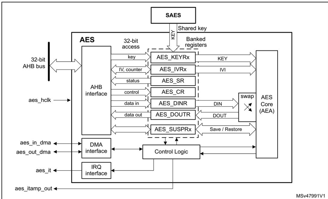 AES block diagram showing internal components like AHB interface, registers (KEY, IV, SR, CR, DINR, DOUTR, SUSPRx), DMA and IRQ interfaces, Control Logic, and the AES Core (AEA) with a swap block. External connections include 32-bit AHB bus, aes_hclk, aes_in_dma, aes_out_dma, aes_it, and aes_itamp_out. A SAES block is shown providing a shared key.